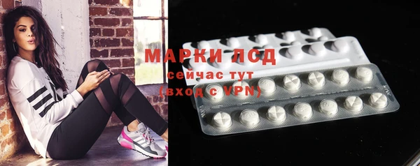 ECSTASY Алзамай