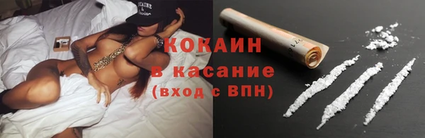 ECSTASY Алзамай