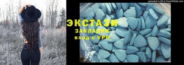 ECSTASY Алзамай