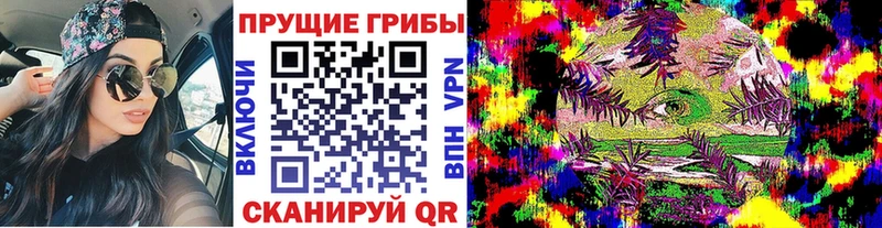 Галлюциногенные грибы Psilocybe  Волхов 