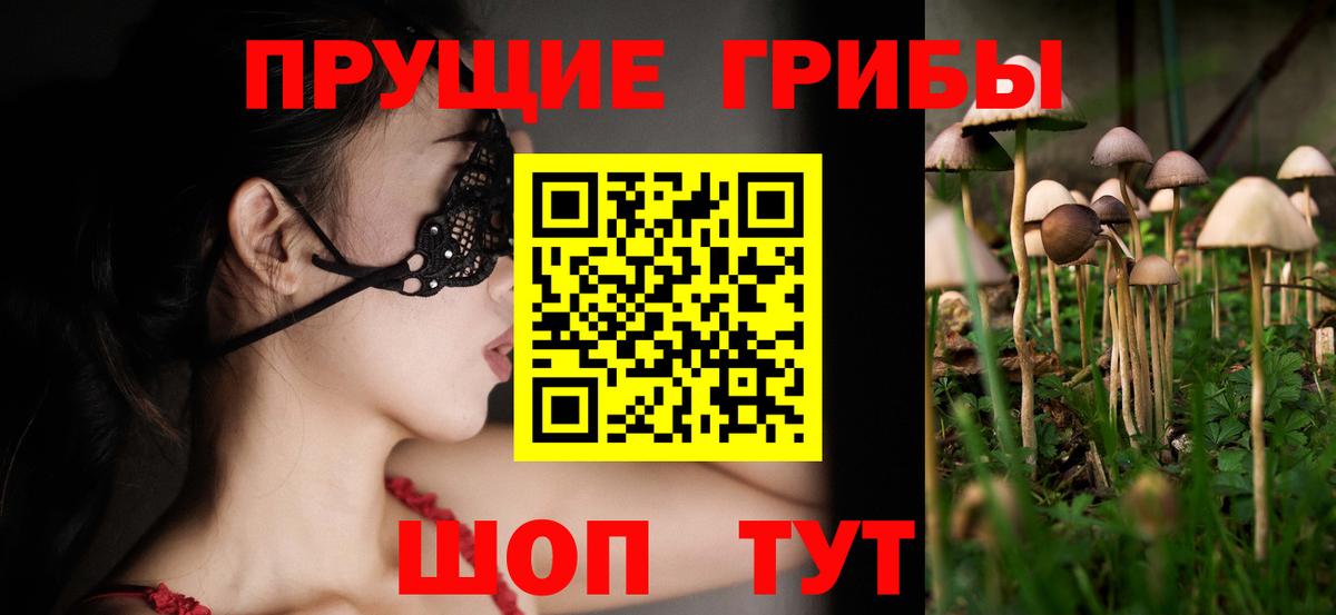 Галлюциногенные грибы мицелий Волхов